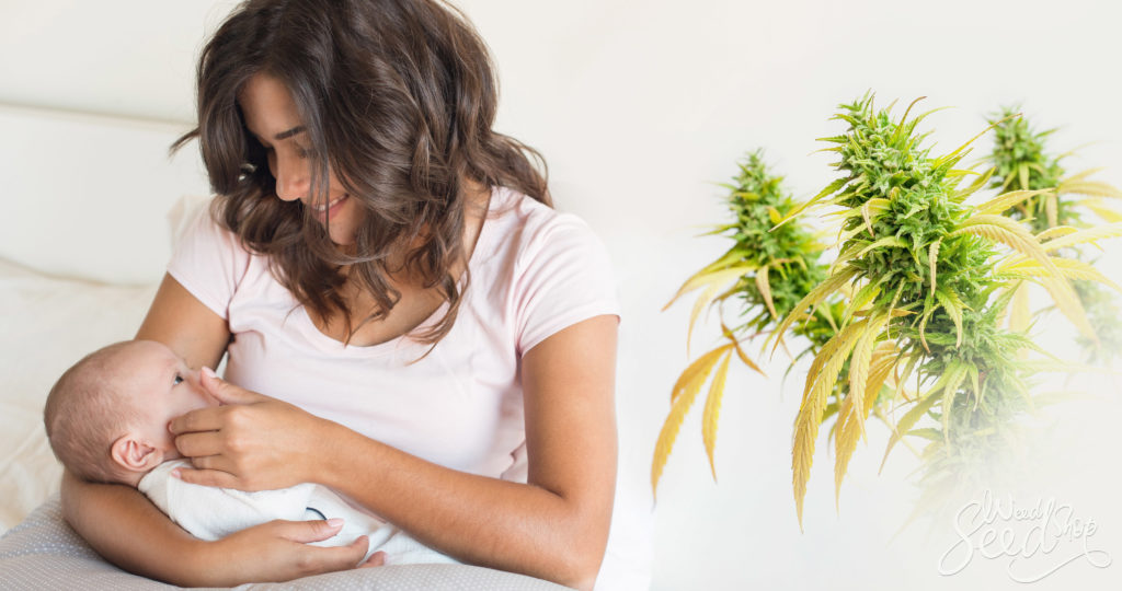 Co niektórzy rodzice z Katowic jak się okazuje mają nie tylko konopną fantazję. Jak wynika z danych tamtejszego Urzędu Stanu Cywilnego chcieli nadać swoim maluchom imiona takie, jak Joint, Koka, Pipa, a nawet Nirvana, Rambo czy Batman.