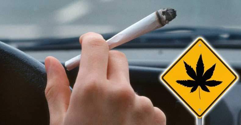 Jazda dużymi prędkościami, ścinanie zakrętów, zjeżdżanie na przeciwległe pasy oraz wypadki, a nawet potrącenia pieszych. To tylko niektóre skutki palenia marihuany przed 16 rokiem życia – wynika z najnowszych badań przeprowadzonych przez naukowców z USA.