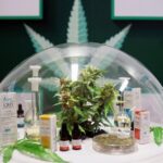 To na razie pierwsza i przynajmniej w najbliższym czasie jedyna w Tajlandii klinika lecząca marihuaną. Zatrudnieni w niej lekarze będą stosować techniki tradycyjnej medycyny połączone z konopnymi kuracjami.