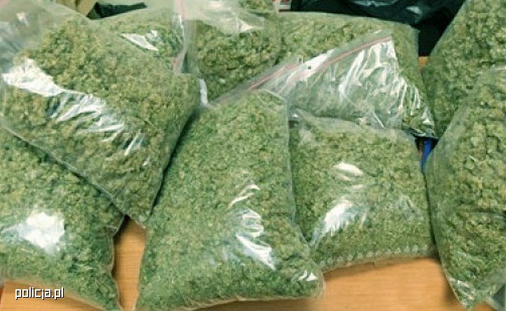 Miał przy sobie 220 gramów marihuany, haszyszu i amfetaminy. Jednak w domu 38 latka policjanci znaleźli jeszcze 11,5 kg marihuany, 600 gramów amfetaminy, ponad kilogram grzybów halucynogennych i prawie 1,5 kg haszyszu. Tłumaczył mundurowym, że to wszystko posiada na własny użytek.