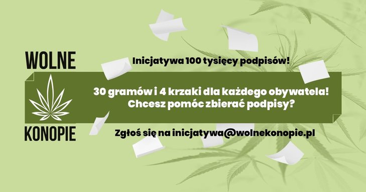 4 krzewy marihuany oraz 30 gramów suszu zupełnie legalne? Pod takim projektem ustawy Wolne Konopie chcą zebrać 100 tysięcy podpisów, które trafią do Sejmu. Posłowie będą musieli wówczas zdecydować, czy za posiadanie 4 krzaków i 30 gramów konopi indyjskich powinny zostać zniesione kary.