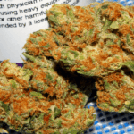 To naprawdę przełom w dostawach medycznej marihuany do polskich aptek. Ostatnie zapasy leków zostały wykupione w październiku zeszłego roku. I chociaż w listopadzie 2019 r. planowana była kolejna dostawa, to dotarła dopiero teraz! Jest to w sumie 6 kilogramów marihuany medycznej od Aurora Cannabis.