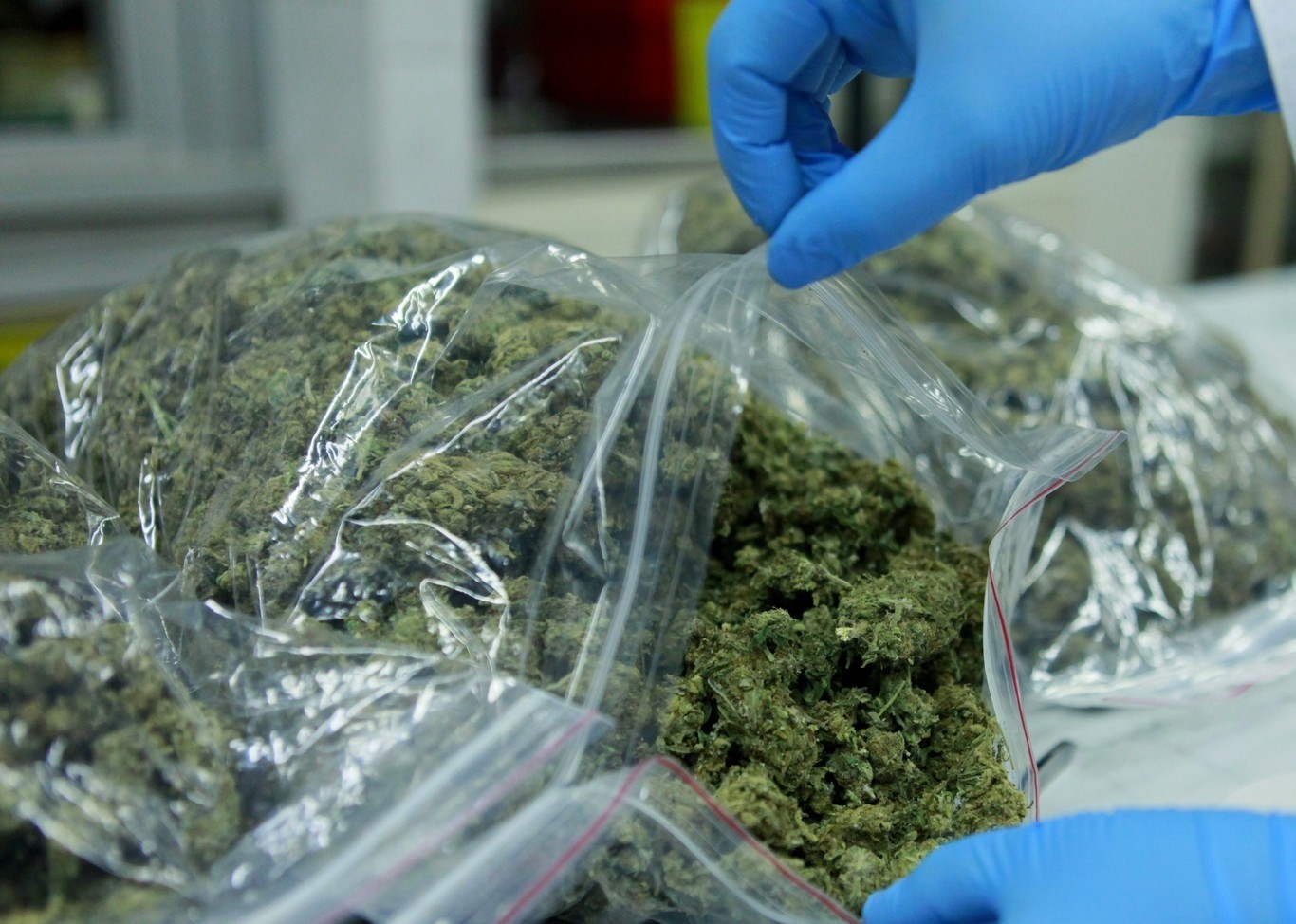 Żele antybakteryjne, spirytus, papier toaletowy i... marihuana. Na tę ostatnią jest równie duży popyt w obliczu zagrożenia koronawirusem, jak na produkty dezynfekujące. Może dlatego, że w czasach kryzysu konsumenci chętnie sięgają po używki takie jak konopie.