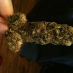 To nie żaden fake news, tylko przypadek zdiagnozowany przez gruzińskich lekarzy. 32 letni pacjent trafił do szpitala z bolesną i długotrwałą erekcją! Lekarze doszukiwali się wielu przyczyn priapizmu. Ostatecznie ustalili, że do 12 godzinnej erekcji u 32 latka przyczyniło się palenie marihuany!