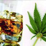 Przemoc domowa, zgony, uzależnienia, choroby serca, nowotwory to tylko część negatywnych skutków, których przyczyny naukowcy przeanalizowali na podstawie używania alkoholu i marihuany. Wnikliwe badania ukazały się na łamach focus.pl Oczywiście alkohol jest używką, której skutki działania badane są od dziesięcioleci, czego o marihuanie nie można powiedzieć, jednak wyniki analiz i porównań tych dwóch używek są naprawdę ciekawe.