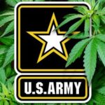 Zamiast importować poliester i polimer, chcą wykorzystać konopne włókna. Mowa o amerykańskiej armii, która przy współpracy z naukowcami z Uniwersytetu Wisconsin zamierza wykorzystać tkaniny z konopi siewnych w wojskowych pojazdach i nie tylko.