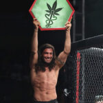 https://www.cannabisnews.pl/marihuana-popularna-wsrod-zawodnikow-mma/