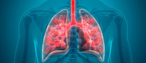 Wspomaga leczenie nowotworów, epilepsji, artretyzmu, cukrzycy i depresji. Okazuje się też, że kannabidiol CBD – czyli związek organiczny zawarty w roślinach konopi może ograniczyć nadmierny proces zapalny w płucach, który prowadzi do śmierci osób, które zachorowały na COVID-19. Poinformowali o tym naukowcy na łamach pisma „Cannabis and Cannabinoid Research”.