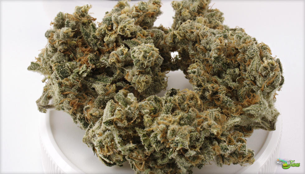 Trainwreck, czyli hybrydowa odmiana marihuany, swoją popularność zyskała dzięki niezwykle silnym efektom działania. Jest to jedna z najczęściej wybieranych odmian pochodzących z kalifornijskiej miejscowości Arcata – jednego z miejsc, gdzie wzrastają najwyższej klasy odmiany marihuany. Dominującym rodzajem konopi w tej odmianie jest Sativa.