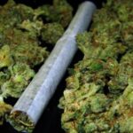 Obsesje, natręctwa, pieniactwo i lęki można zniwelować poprzez palenie zioła. Wskazują na to badania przeprowadzone przez Washington State University. U osób z zaburzeniami obsesyjno-kompulsywnymi po marihuanie objawy zmalały o połowę!