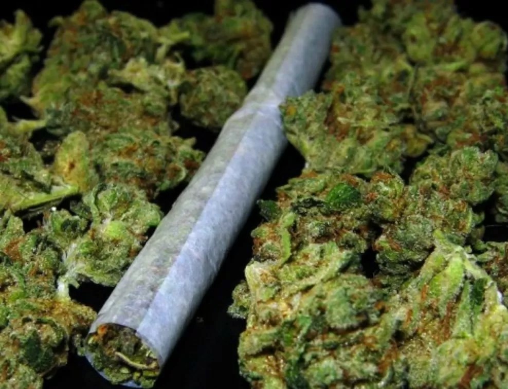 Obsesje, natręctwa, pieniactwo i lęki można zniwelować poprzez palenie zioła. Wskazują na to badania przeprowadzone przez Washington State University. U osób z zaburzeniami obsesyjno-kompulsywnymi po marihuanie objawy zmalały o połowę!