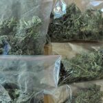 Agnieszka Ł. z Lublina, która próbowała wrobić swojego 35 letniego partnera w posiadanie marihuany spędzi za kratkami najbliższy rok. W tę nietypową sprawę zamieszani byli również lubelscy policjanci.