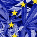 Trybunał Sprawiedliwości Unii Europejskiej uznał, że państwa członkowskie nie mogą zakazywać sprzedaży pozyskanego legalnie kannabidiolu CBD. Powód? Z konopi kojarzących się wyłącznie z używką zawierającą psychoaktywne THC, można także wytwarzać kosmetyki, suplementy i żywność. Poza tym CBD nie stwarza zagrożenia dla zdrowia.