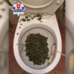 Pewnie nie jeden pozazdrościłby tej muszli toaletowej, do której trafiło 200 gramów marihuany. Zioło próbował spuścić 23 letni mieszkaniec Chełma (woj. lubelskie). Była to jego reakcja na wizytę policjantów w jego mieszkaniu.