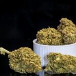 To przełomowa informacja dla pacjentów medycznej marihuany z Polski! Lek w końcu będzie produkowany na terenie kraju. Dotychczas był importowany z Kanady lub Niemiec i w aptekach medycznej marihuany notorycznie brakowało. Teraz jej wytwarzaniem zajmie się firma, która dotychczas sprowadzała ją z zagranicy.