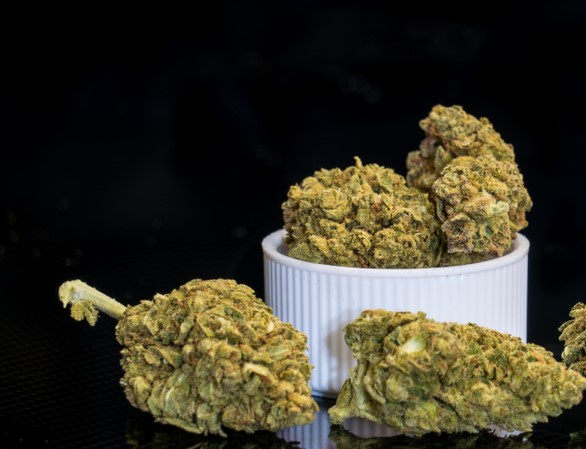 To przełomowa informacja dla pacjentów medycznej marihuany z Polski! Lek w końcu będzie produkowany na terenie kraju. Dotychczas był importowany z Kanady lub Niemiec i w aptekach medycznej marihuany notorycznie brakowało. Teraz jej wytwarzaniem zajmie się firma, która dotychczas sprowadzała ją z zagranicy.