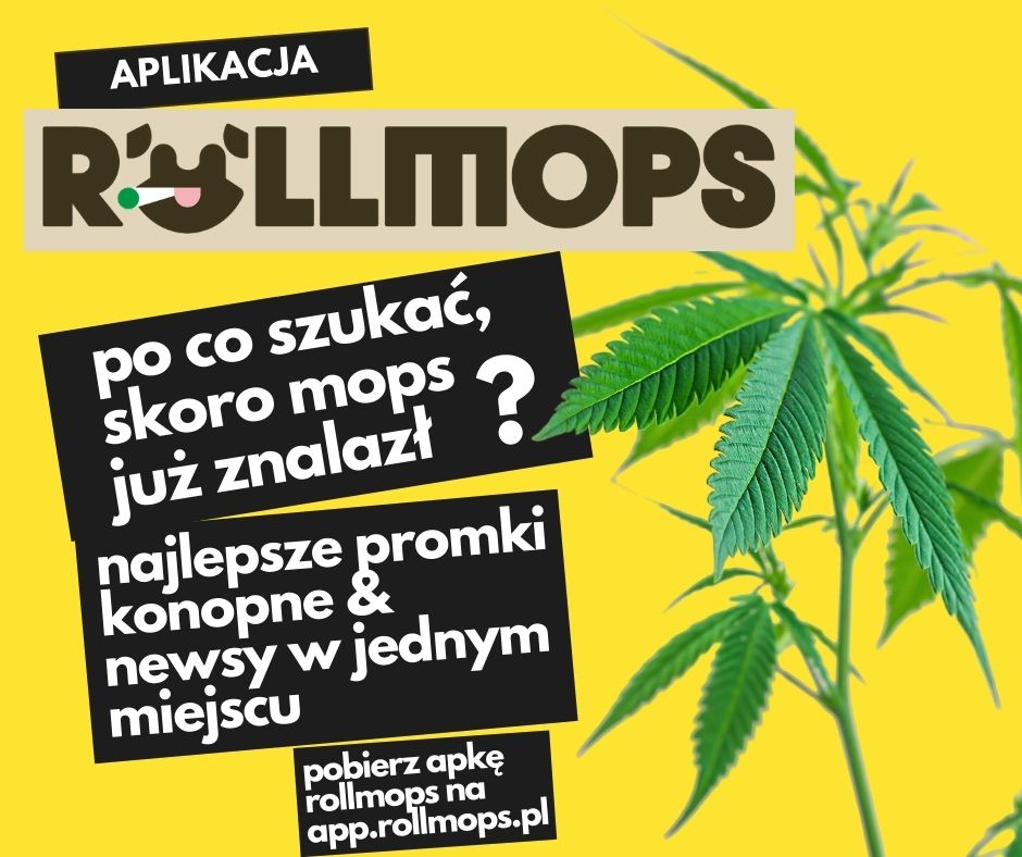 pobierz darmową aplikację rollmops