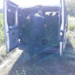 W mniemaniu policjantów była to rekordowa pod względem wielkości plantacja marihuany. Jednak tylko w ich mniemaniu, bo tak naprawdę na polu pod Ciechocinkiem pan Marcin uprawiał konopie siewne. W efekcie prokuratura i mundurowi się skompromitowali, a rolnik został uniewinniony.