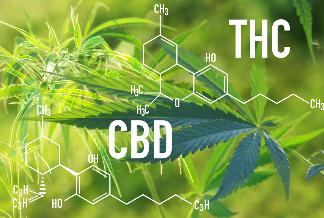 CBD i THC