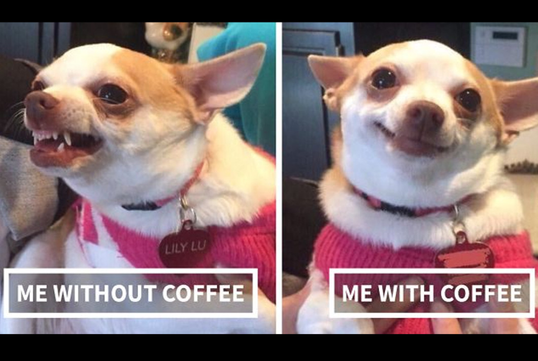 Kawa z CBD na pobudzenie