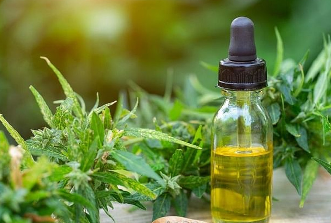 Olej CBD na odporność?