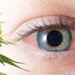 Chociaż wiele osób palących marihuanę uważa, że nie wpływa to negatywnie na ich wzrok, to na co innego wskazują najnowsze badania naukowe. Przeprowadzono je na hiszpańskim uniwersytecie w Granadzie.