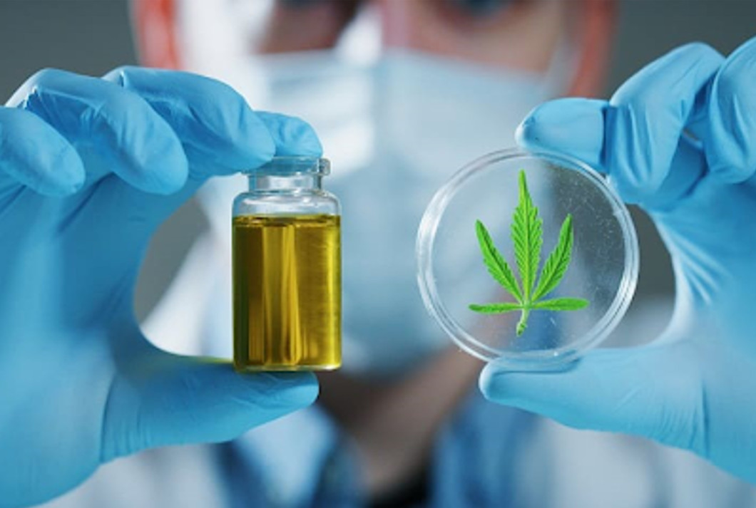 Olej CBD na dłuższe życie