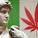 To pierwszy taki wyrok w historii. We Włoszech uniewinniono pacjenta, który uprawiał bez zezwolenia marihuanę do celów medycznych. Mieszkaniec Arezzo został najpierw oskarżony o handel ziołem, a następnie ułaskawiony przez sąd.