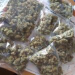 Kotłownia należąca 28 letniego mieszkańca Lublina nie służyła wyłącznie do palenia, ale również do uprawy konopi indyjskich. Oprócz tego mężczyzna przechowywał w słoikach zapasy na zimę – w sumie pół kilograma zioła.