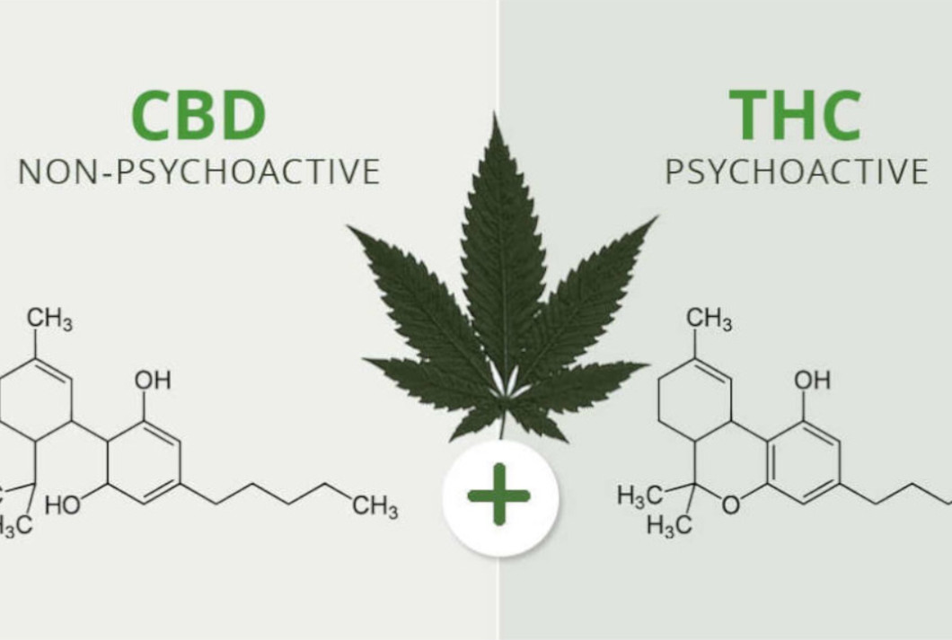 CBD a THC