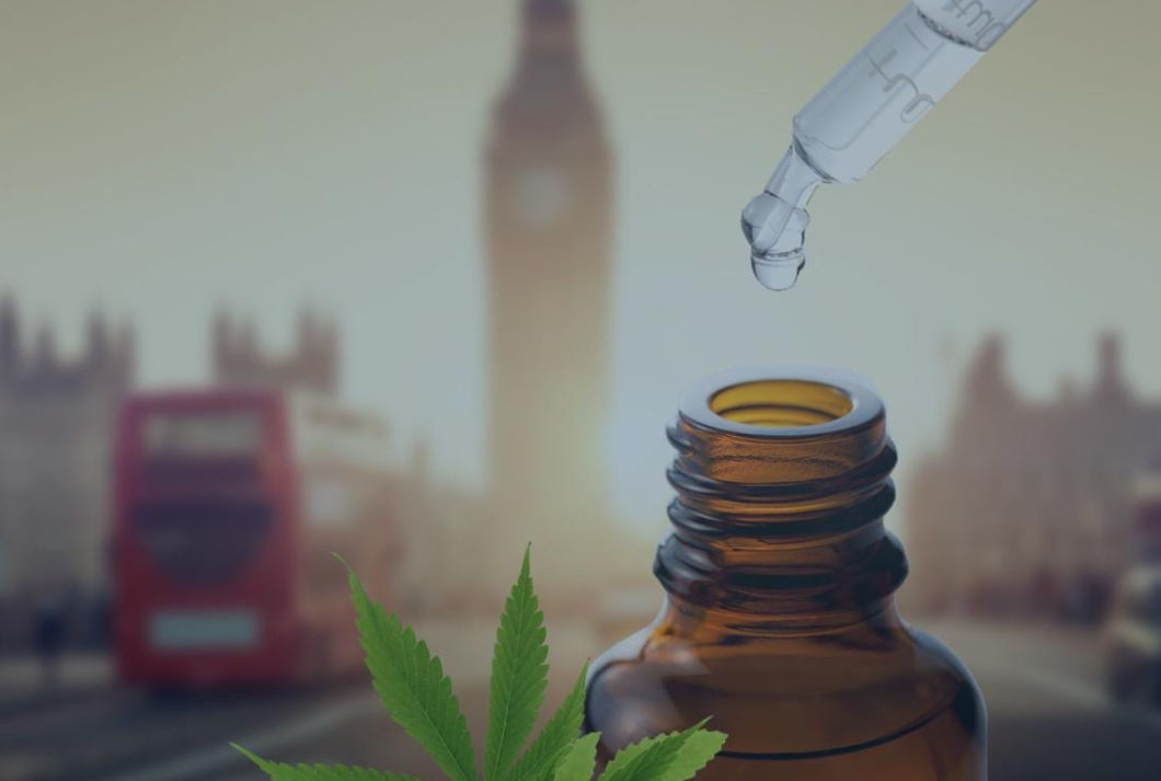 Olej z konopie siewnej CBD