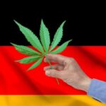 Nowa koalicja rządząca i nowy rozdział dla konopi indyjskich w Niemczech. Już wiadomo, że marihuana u naszych zachodnich sąsiadów będzie zalegalizowana. Porozumienie w tej sprawie wypracowali liderzy nowej koalicji rządzącej.