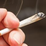 Uprawa na własny użytek i posiadanie konopi indyjskich są już legalne w Malcie. W efekcie jest to pierwszy europejski kraj, który zalegalizował marihuanę. Ustawa w tej sprawie została przegłosowana przez większość maltańskiego parlamentu oraz podpisana przez prezydenta.