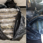 O dużym pechu może mówić pseudokibic poszukiwany listem gończym, którego przyłapano na transporcie 13 kilogramów zioła. Zatrzymali go współpracujący ze sobą policjanci z województwa śląskiego i łódzkiego.