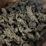 Nie chciała, żeby jej partner palił zioło, a także przechowywał je w domu. Wpadła zatem na świetny pomysł. Zadzwoniła na komendę i poprosiła policjantów, żeby przemówili jej misiaczkowi do rozsądku. Efekt? Jak się pewnie domyślacie mundurowi niezwłocznie przyjechali na miejsce. Znaleźli zioło, 48 latkowi postawili zarzuty i teraz grozi mu nawet do 3 lat za kratkami.