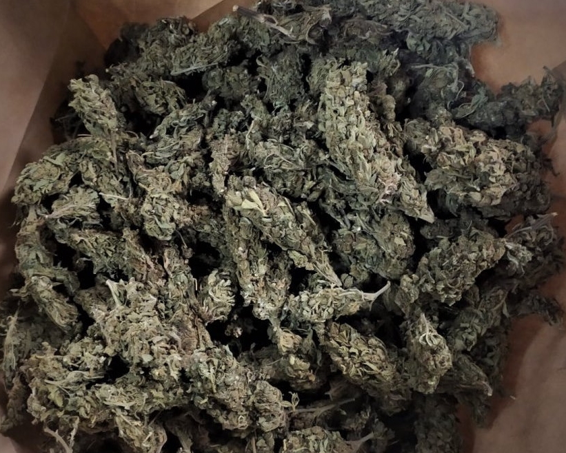 Nie chciała, żeby jej partner palił zioło, a także przechowywał je w domu. Wpadła zatem na świetny pomysł. Zadzwoniła na komendę i poprosiła policjantów, żeby przemówili jej misiaczkowi do rozsądku. Efekt? Jak się pewnie domyślacie mundurowi niezwłocznie przyjechali na miejsce. Znaleźli zioło, 48 latkowi postawili zarzuty i teraz grozi mu nawet do 3 lat za kratkami.