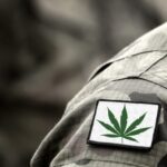 Jak agresja Rosji przeciwko Ukrainie wpłynie na konopny biznes oraz legalizację marihuany w Europie? Jak wiadomo działania wojenne mają miejsce u naszych wschodnich sąsiadów. I tak naprawdę wcale nie jest to daleko od Niemiec, gdzie zapowiedziano legalizację konopi indyjskich w celach rekreacyjnych oraz Czech, gdzie tamtejszy rząd miał wprowadzić kolejne udogodnienia dla konopnej branży.