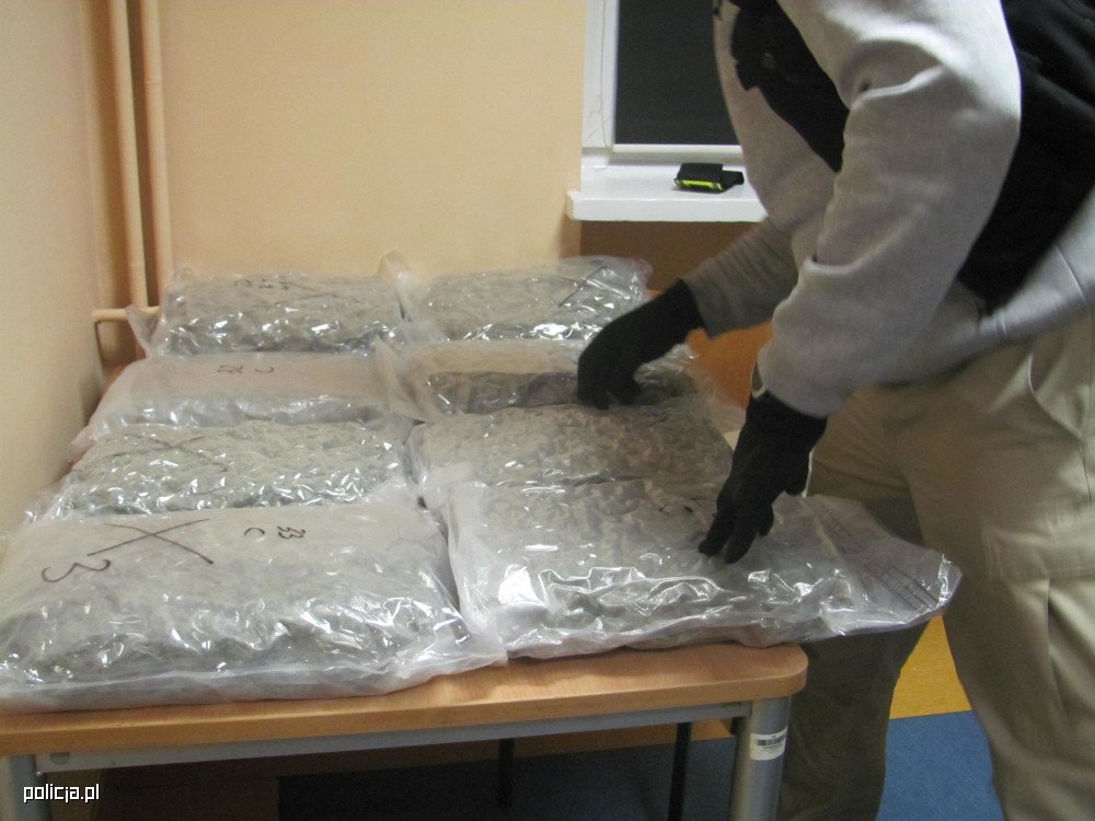 44 letni kierowca peuegota, który pędził autostradą A2 nie miał szczęścia. Został zatrzymany przez policjantów. Ci przejęli też 115 kilogramów zioła, które przewoził.