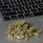 Najnowsze badania przeprowadzone w USA wskazują, że ponad 30 % programistów pali konopie indyjskie w pracy. Dlaczego? A dlatego, że zioło pomaga im kreatywniej myśleć i działać, wprowadzając ich w swoisty „stan programowania”.