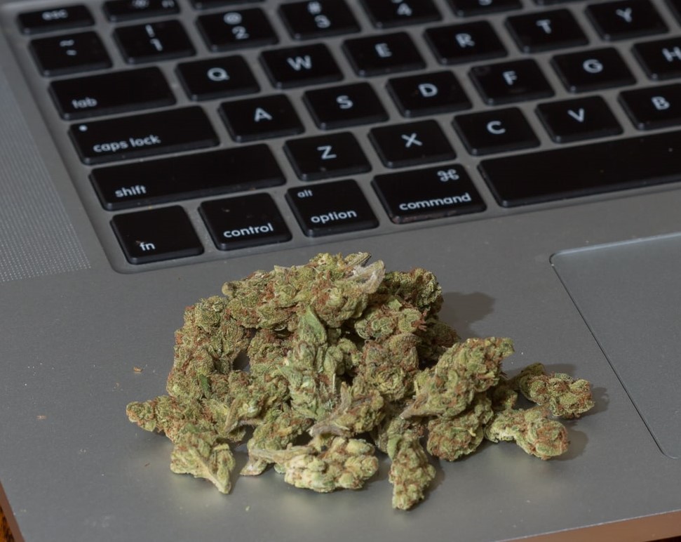 Najnowsze badania przeprowadzone w USA wskazują, że ponad 30 % programistów pali konopie indyjskie w pracy. Dlaczego? A dlatego, że zioło pomaga im kreatywniej myśleć i działać, wprowadzając ich w swoisty „stan programowania”.