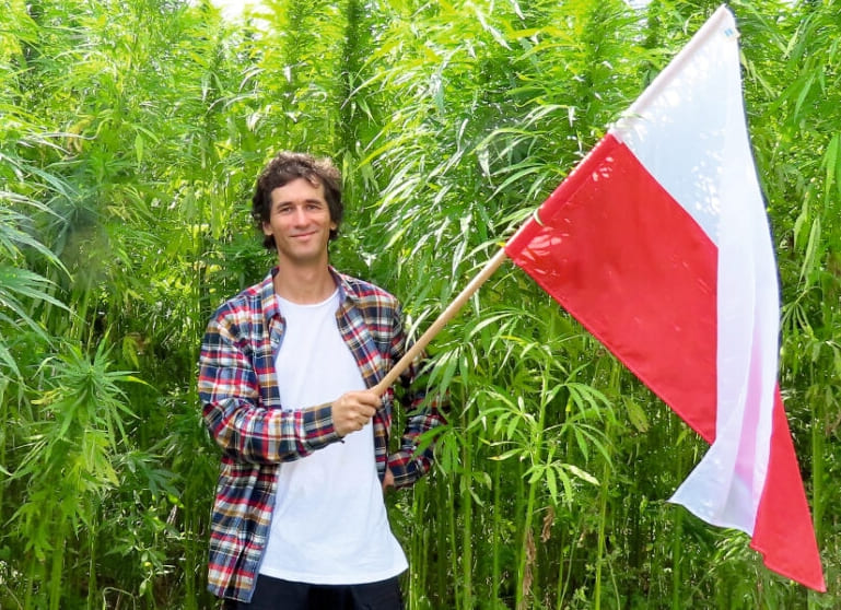 Konopie nie są „Nową żywnością” i mogą być stosowane w żywności – tak zadecydował Naczelny Sąd Administracyjny . To pokłosie sprawy dotyczącej wprowadzenia do obrotu przez Kombinat Konopny produktu „Zioło na dobry nastrój”. Główny Inspektorat Sanitarny skierował wówczas pismo do Kombinatu Konopnego nakazując wycofanie tego produktu i grożąc jednocześnie wyrokami.