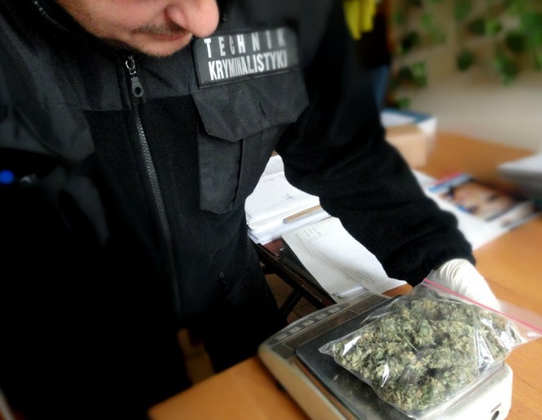 Uszkodzona paczka nadana w firmie kurierskiej niestety zgubiła 25 letniego mieszkańca Częstochowy. Z przesyłki nadanej w Holandii wysypywało się zioło. Zauważyli to pracownicy sortowni. Niestety nie mieli ochotę na degustację zawartości przesyłki, tylko niezwłocznie zawiadomili policjantów.