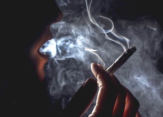 Jak usunąć zapach marihuany? Czy zapach konopi można w ogóle zniwelować? Jakie są sposoby na to, żeby ukryć zapach konopi albo przynajmniej częściowo zamaskować zapach konopi? Więcej na ten temat dowiecie się z tego artykułu.