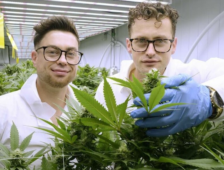 Rodzinna firma z Konopnicy w woj. lubelskim to niekwestionowany lider w produkcji systemów oświetlenia do uprawy i wzrostu konopi oraz innych roślin. Na tym jednak działalność Plantalux się nie kończy. Oprócz szerokiej współpracy z placówkami naukowymi oraz światowej renomy w produkcji systemów oświetlenia, bracia Jakub i Rafał Lachowscy pokazują jak wycisnąć z konopi ostatnie soki - czego przykładem jest „konopna dżungla”.