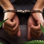 Prokuratorzy, sędziowie, a nawet policjanci byli adresatami badań, które przeprowadziła Fundacja Polska Sieć Polityki Narkotykowej od kwietnia 2021 roku do maja 2022 roku. Cel? Sprawdzenie jak faktycznie funkcjonował art. 62a ustawy narkotykowej w latach 2011-2021. Efektem badań jest opublikowany raport „Karanie za posiadanie narkotyków”.