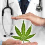 Najnowsze badania przeprowadzone przez Centrum Medycyny Konopnej wskazują na to, że 76 proc. Polaków uważa, że medyczna marihuana jest pewnym, sprawdzonym i skutecznym środkiem medycznym. Większość rodaków wierzy w lecznicze działanie konopi indyjskich i w razie potrzeby sami poddaliby się terapii medyczną marihuaną.