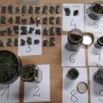 To były obfite żniwa dla podkarpackich policjantów. Najpierw przejęli 534 gramów gotowych do jarania konopi indyjskich w domu 39 latka. Kolejne, prawie 200 gramów znaleźli w mieszkaniu 16 latka z Leżajska.