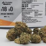 Od dziś legendarna odmiana marihuany Jack Herer jest dostępna w aptekach, oczywiście w wydaniu medycznym, do kupienia na receptę. Jej producentem jest firma Tirlay Portugal, dostarczająca medyczną do 20 krajów na 5 kontynentach.