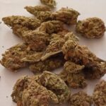 Marihuana spod lady w jednym z warszawskich warzywniaków