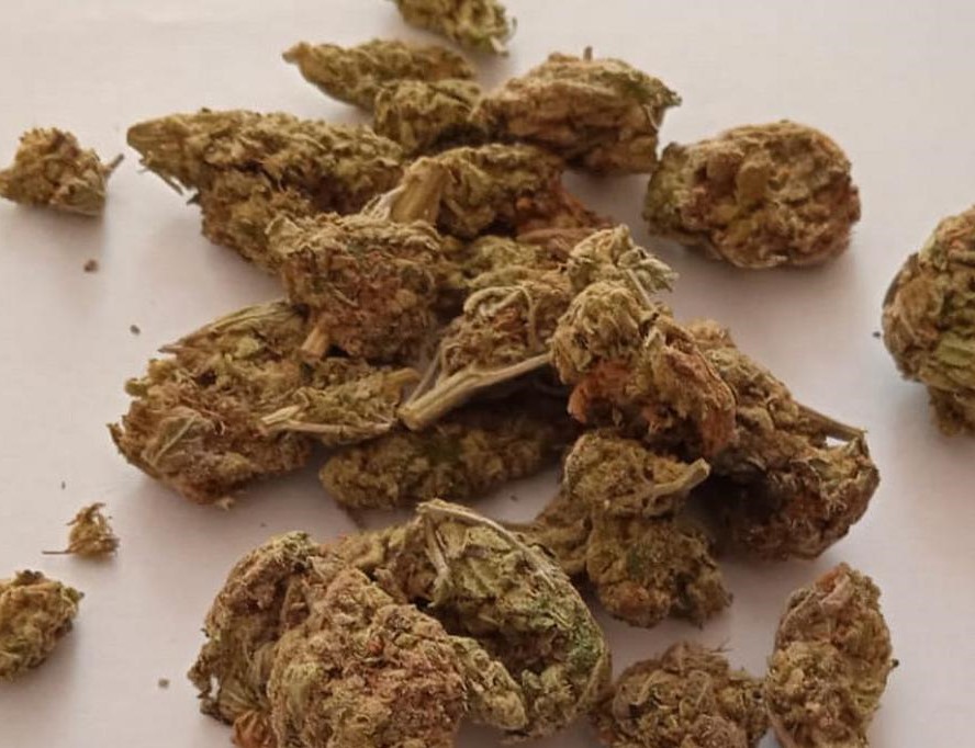 Marihuana spod lady w jednym z warszawskich warzywniaków